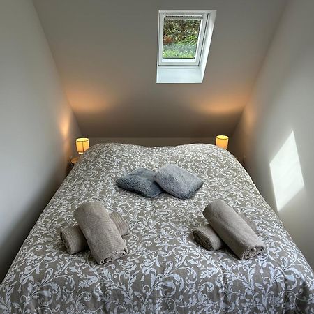 Vue Magnifique Sur Les Chateaux リボーヴィレ エクステリア 写真
