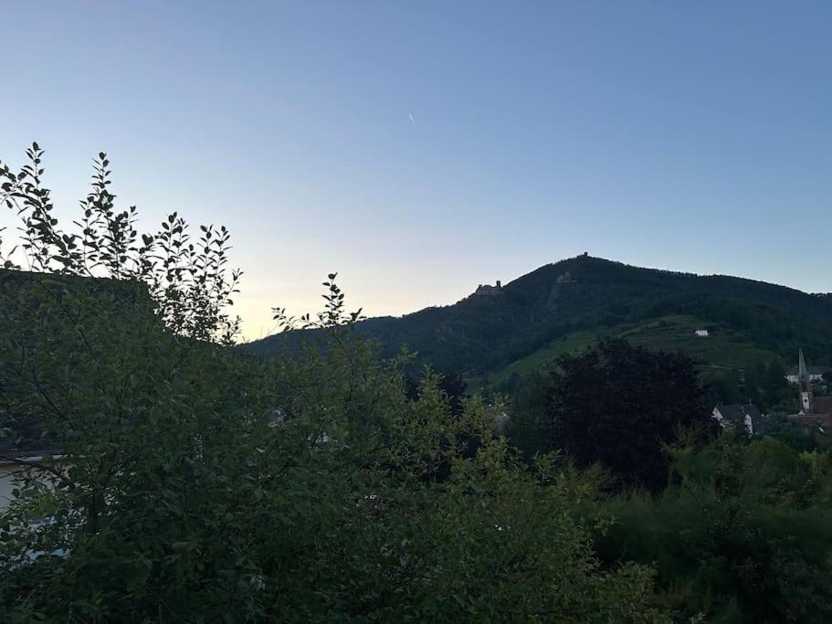 Vue Magnifique Sur Les Chateaux リボーヴィレ エクステリア 写真