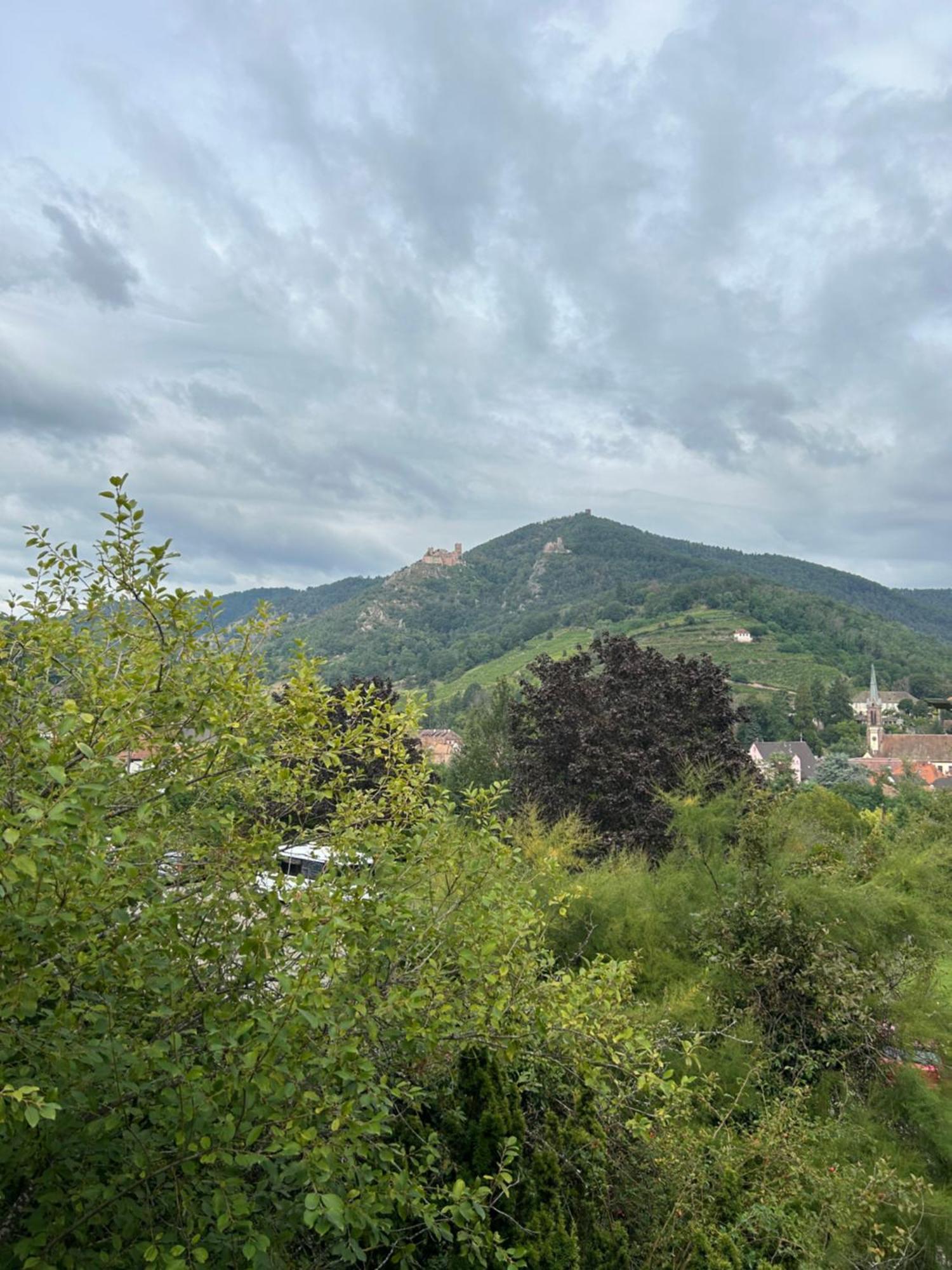 Vue Magnifique Sur Les Chateaux リボーヴィレ エクステリア 写真